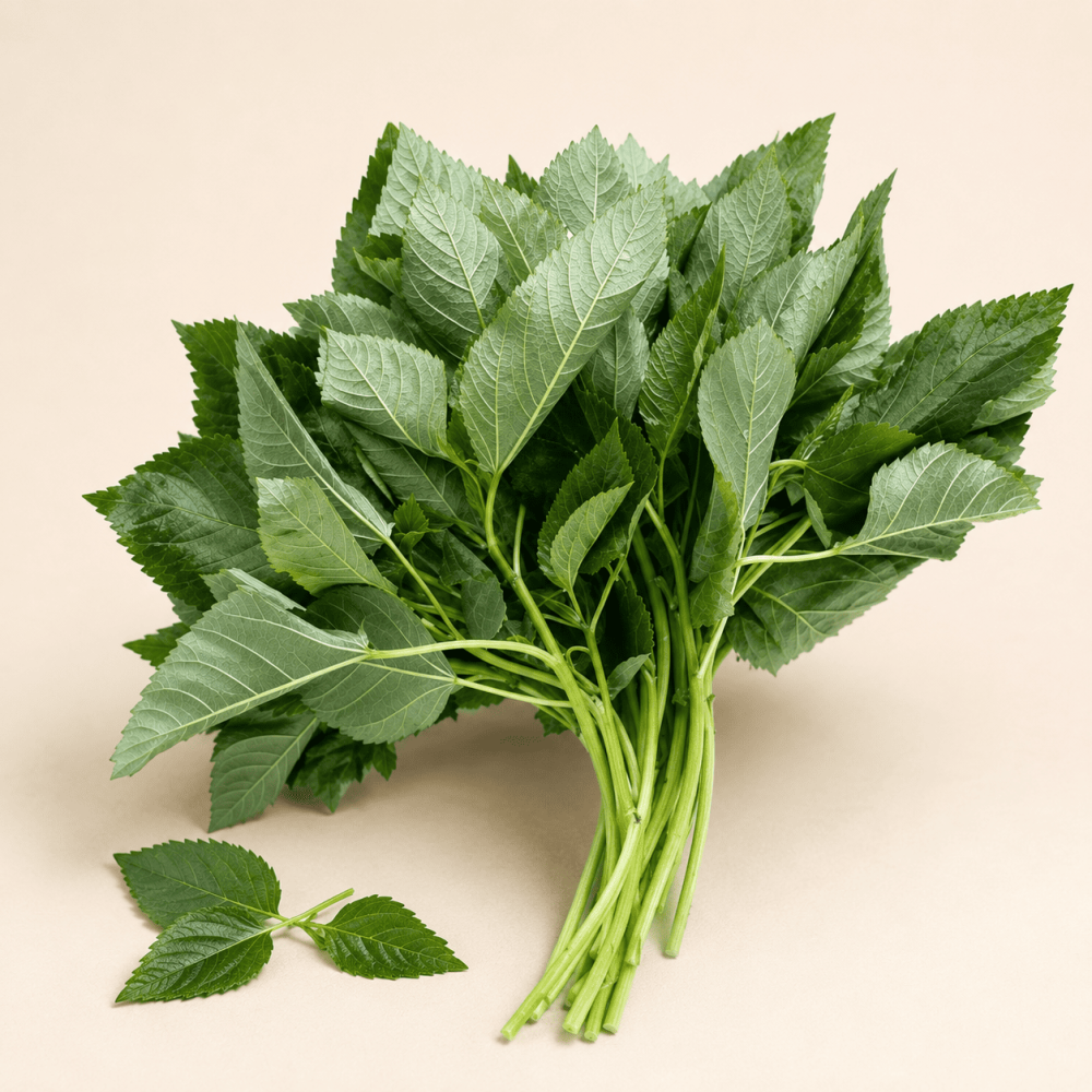 ورق ملوخية